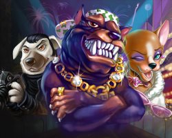 Моментальный вывод Рио Бет